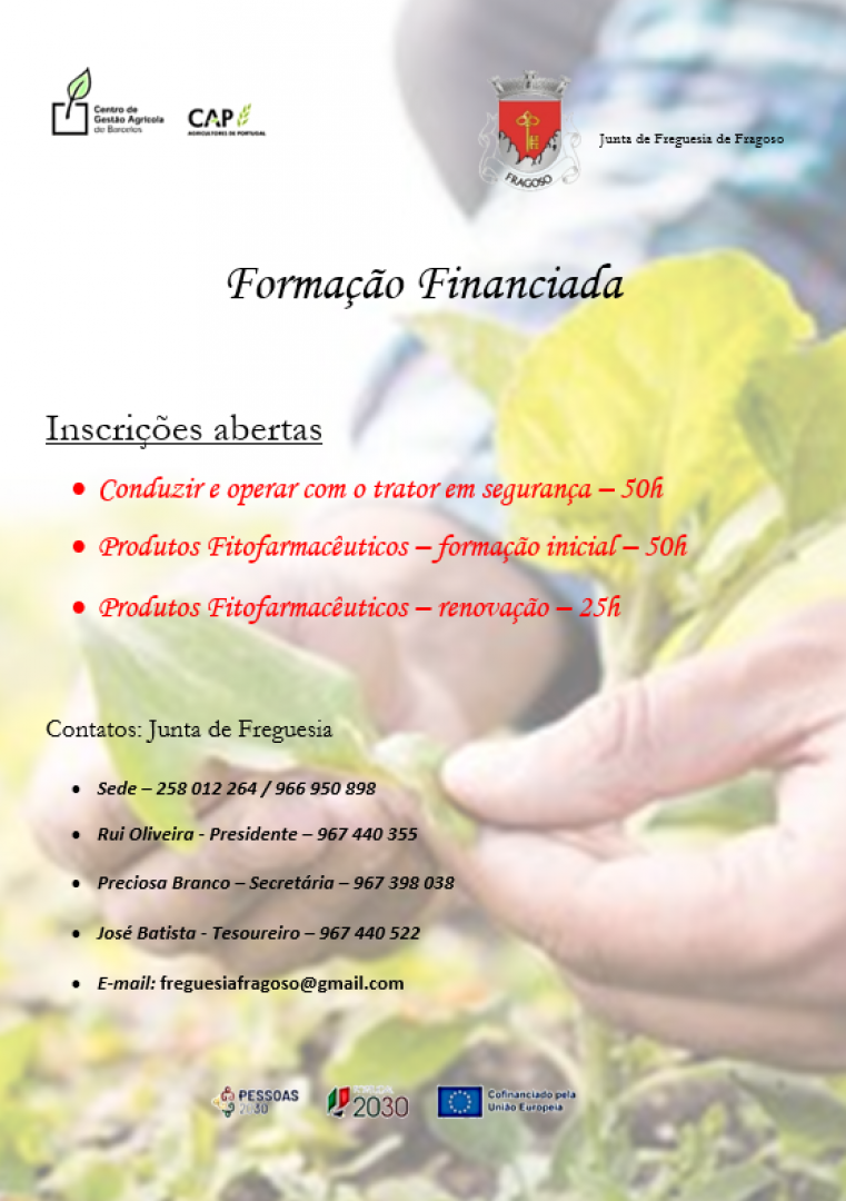 Forma&ccedil;&atilde;o financiada